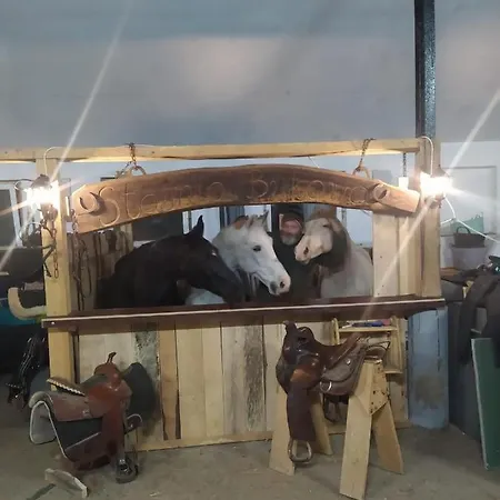 Z Widokiem * Międzybrodzie Bialskie