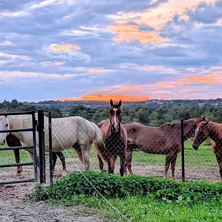 Z Widokiem * Międzybrodzie Bialskie